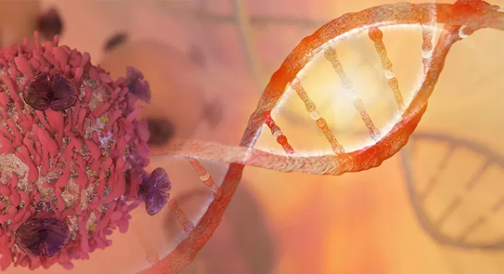 SVF Kök Hücre Tedavisi