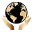 asli-tarcan-favicon