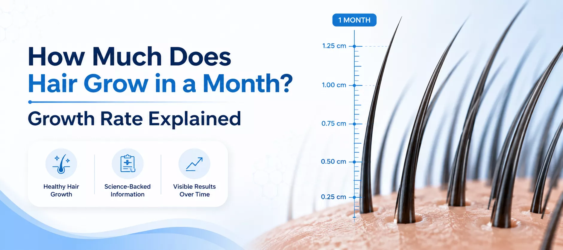 how-much-does-hair-grow-in-a-month-growth-rate-explained